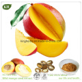 Wild Mango Seed Extract / 20: 1 Irvingia Gabonensis Extract